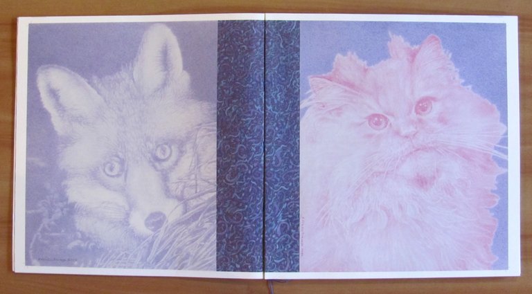 LE AVVENTURE DI PINOCCHIO - Ed. Lusso, 2006 - ill. …