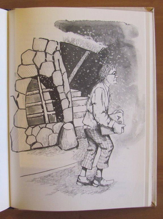 LE AVVENTURE DI PINOCCHIO, 1978 - ill. BRAJONE | Immagine Gallery 8