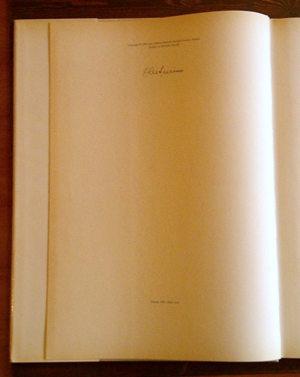 LE AVVENTURE DI PINOCCHIO, 1981 - ill Venturino VENTURI - …