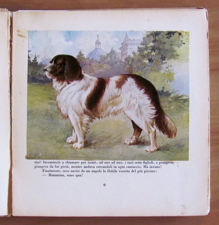 LE BESTIE RACCONTANO, I ed, 1934 ill. SAVELY