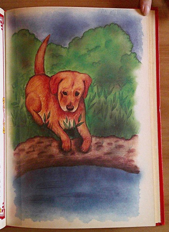 LE FIABE DEGLI ANIMALI, 1987 - ill. Elena FOI