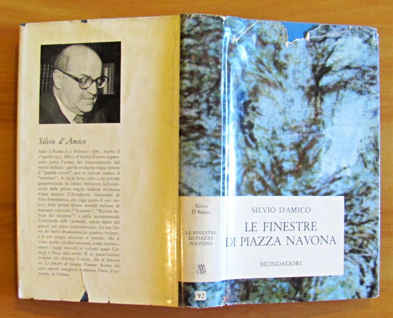 LE FINESTRE DI PIAZZA NAVONA - Collana NARRATORI ITALIANI