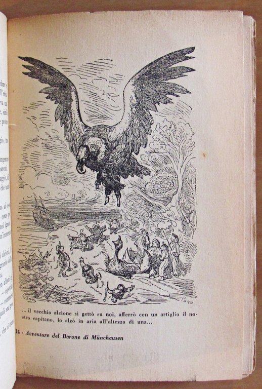 Le meravigliose avventure di terra e di mare del BARONE …