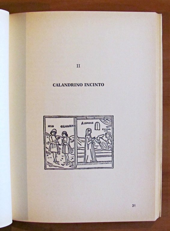 LE NOVELLE PIU' DER BOCCACCIO - Libberamente ariccontate in versi …