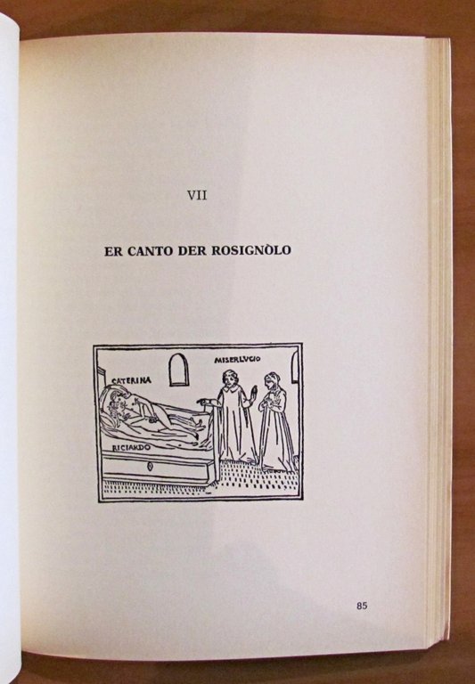 LE NOVELLE PIU' DER BOCCACCIO - Libberamente ariccontate in versi …