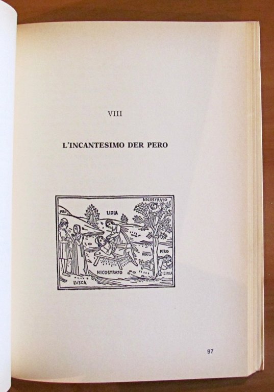 LE NOVELLE PIU' DER BOCCACCIO - Libberamente ariccontate in versi …