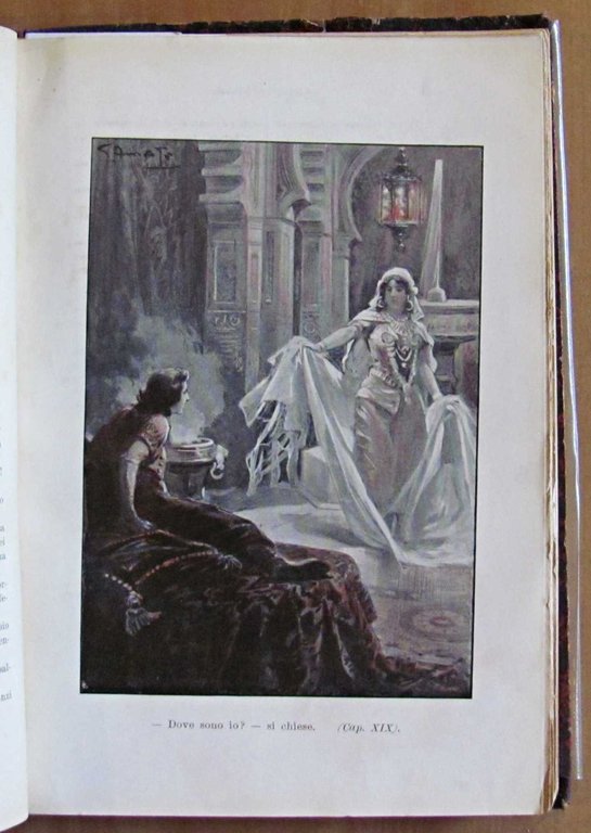 LE PANTERE DI ALGERI, I ed. 1903 - ill. D'AMATO | Immagine Gallery 7