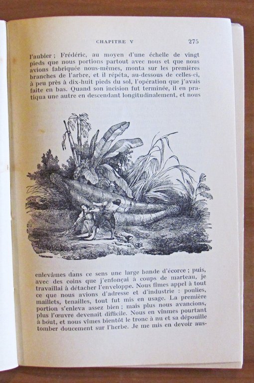 LE ROBINSON SUISSE - ill. Lemercier, 1925