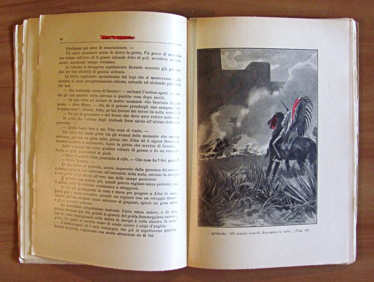 LE SELVE ARDENTI - con 20 illustrazioni di G. D'Amato