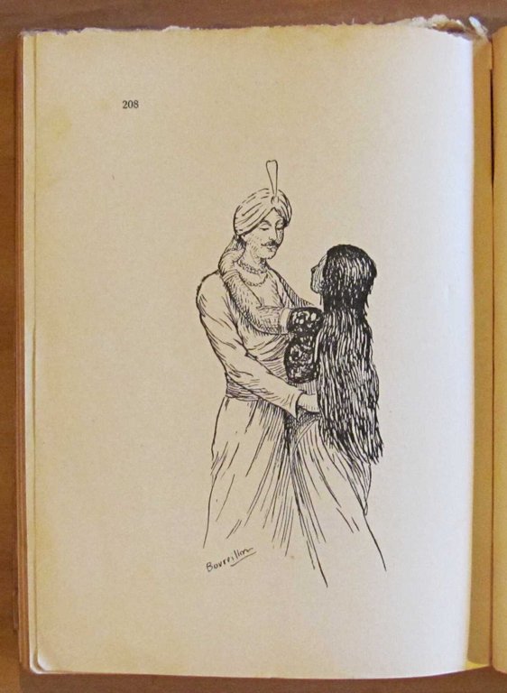 LE STRABILIANTI AVVENTURE DI HARIDAS - Romanzo umoristico hindù moderno …