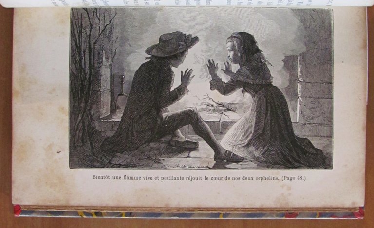 LES DEUX PETITS ROBINSONS DE LA GRANDE-CHARTREUSE, 1873 - ill. …