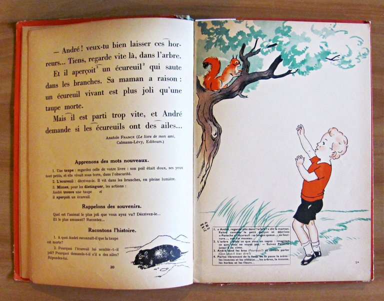 LES ENFANTS ET LES BETES - Livre de Lecture Courante …