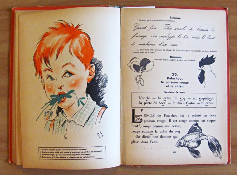 LES ENFANTS ET LES BETES - Livre de Lecture Courante …