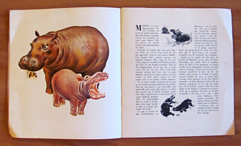 LES PETITS ET LES GRANDS - Albums du Père Castor