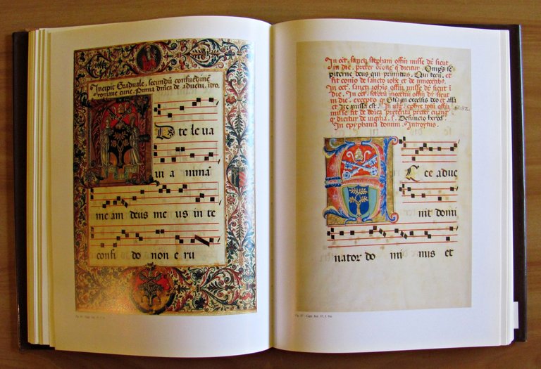 LITURGIA IN FIGURA - Codici liturgici rinascimentali della Biblioteca Apostolica …