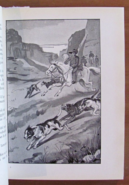 LOBO E ALTRE STORIE DI ANIMALI SELVAGGI, 1948 Illustrato