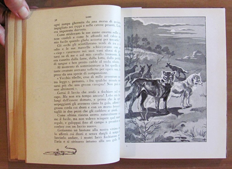 LOBO E ALTRE STORIE DI ANIMALI SELVAGGI, 1948 Illustrato