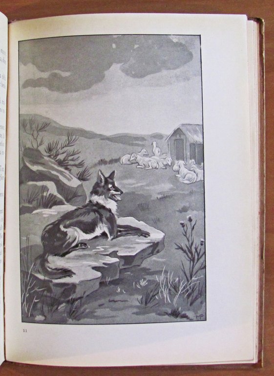 LOBO E ALTRE STORIE DI ANIMALI SELVAGGI, 1948 Illustrato