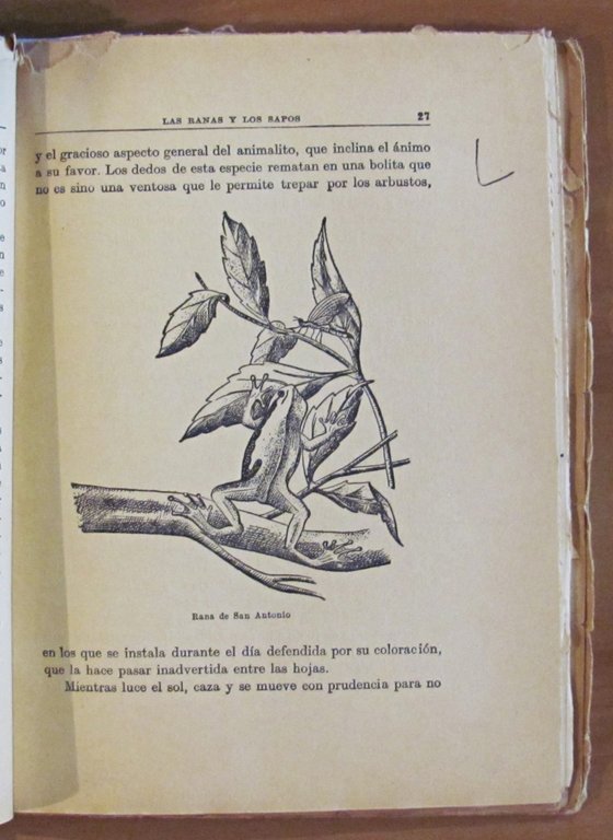 LOS BATRACIOS Y LOS REPTILES - Coll. Libros de la …