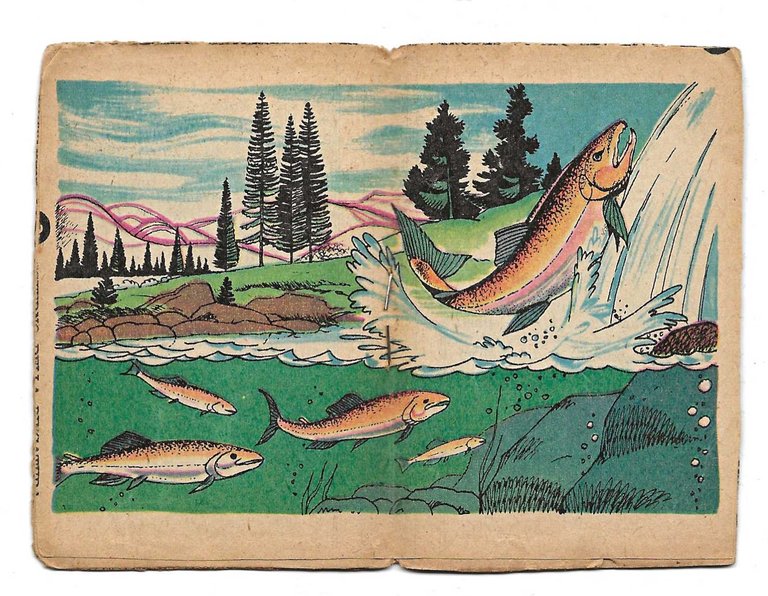 Lotto di 10 Libretti MINIBIBLIOTECA DEL CORRIERE DEI PICCOLI - …