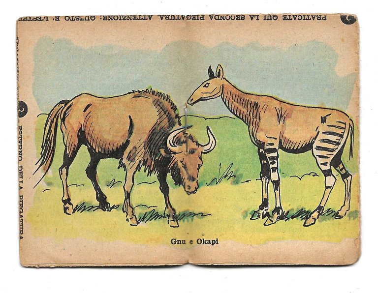 Lotto di 10 Libretti MINIBIBLIOTECA DEL CORRIERE DEI PICCOLI - …