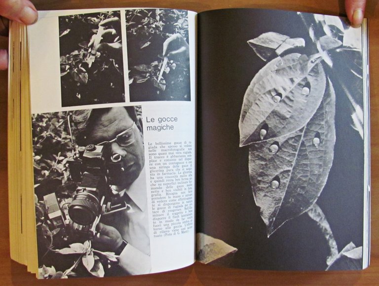 MACRO FOTOGRAFIA IN PRATICA, 1984