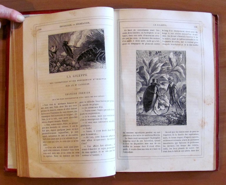 MAGASIN D'EDUCATION ET RECREATION, Hetzel, 1879 - 29^ Volume