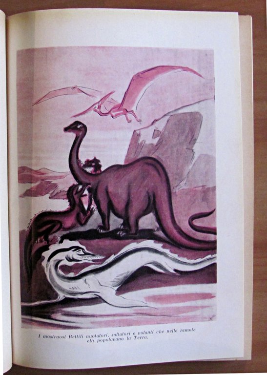 MARAVIGLIE DI TUTTI I REGNI, 1942 - Coll. Il Libro …