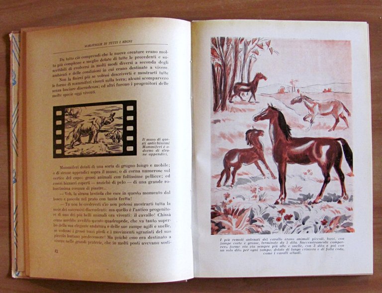 MARAVIGLIE DI TUTTI I REGNI, 1942 - Coll. Il Libro …