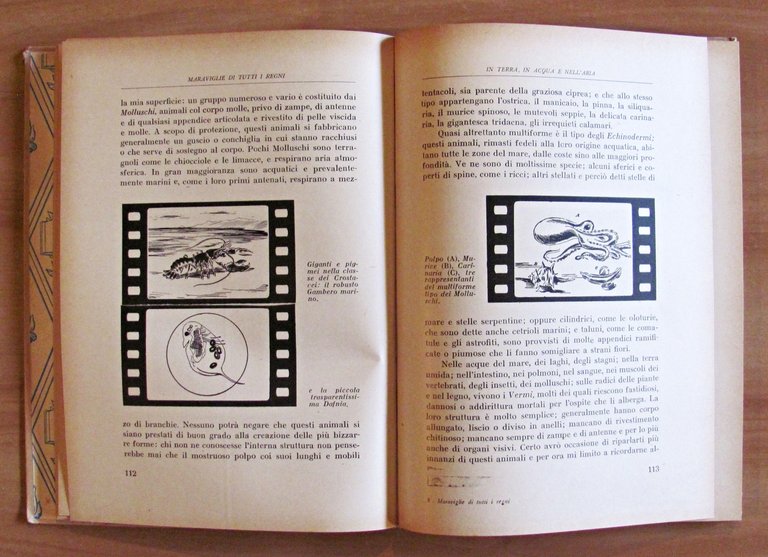 MARAVIGLIE DI TUTTI I REGNI, 1942 - Coll. Il Libro …