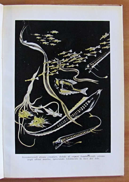 MARAVIGLIE DI TUTTI I REGNI, 1942 - Coll. Il Libro …