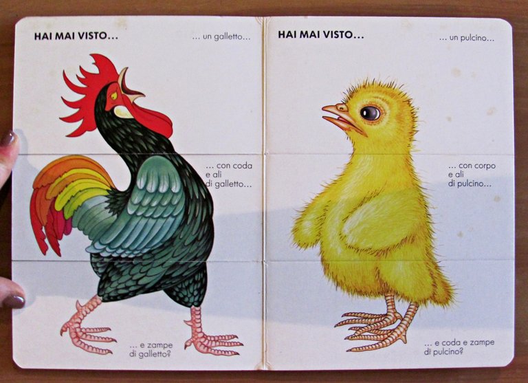 MESCOLA E INVENTA PAZZI ANIMALI - Libro Pop-Up, I ed. …