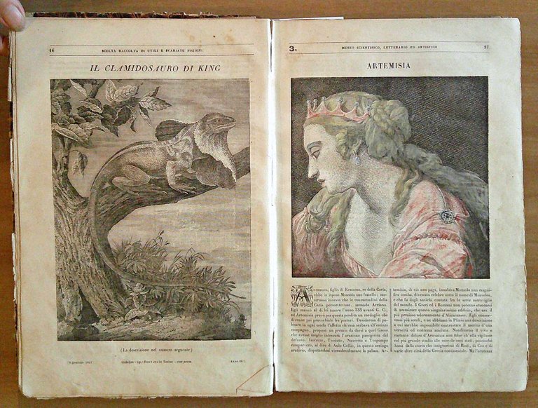MUSEO SCIENTIFICO, LETTERARIO ED ARTISTICO - Anno III, 1841