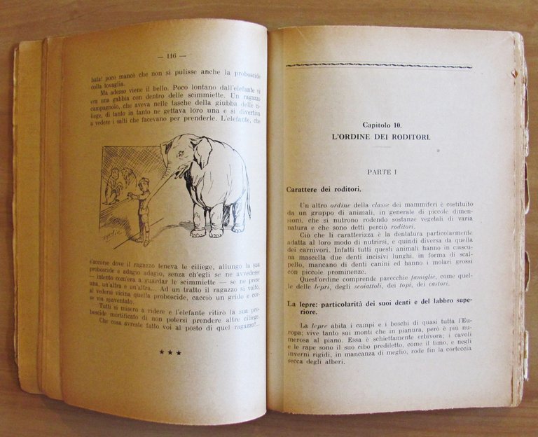 NEL MONDO DEGLI ANIMALI - Collana Biblioteca del Maestro Italiano …