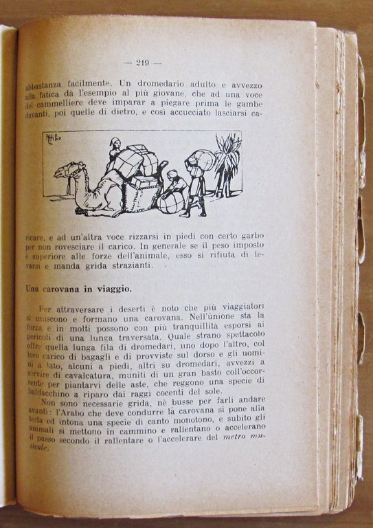 NEL MONDO DEGLI ANIMALI - Collana Biblioteca del Maestro Italiano …