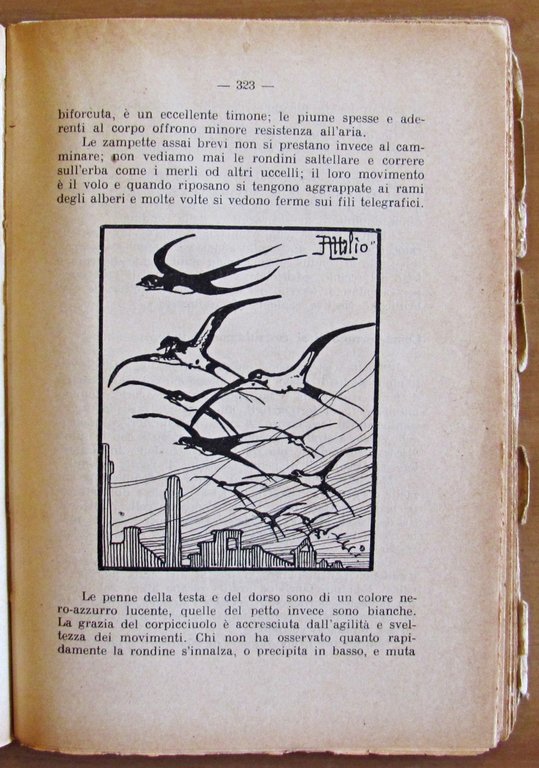 NEL MONDO DEGLI ANIMALI - Collana Biblioteca del Maestro Italiano …