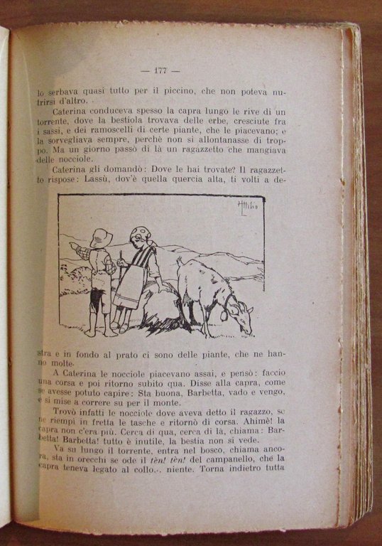 NEL MONDO DEGLI ANIMALI, 1926 - ill. MUSSINO