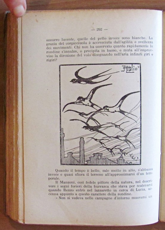 NEL MONDO DEGLI ANIMALI, 1926 - ill. MUSSINO