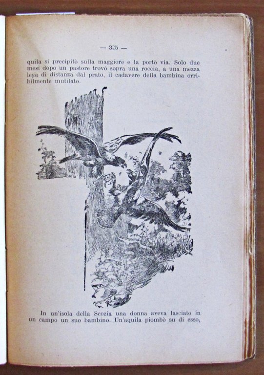 NEL MONDO DEGLI ANIMALI, 1926 - ill. MUSSINO