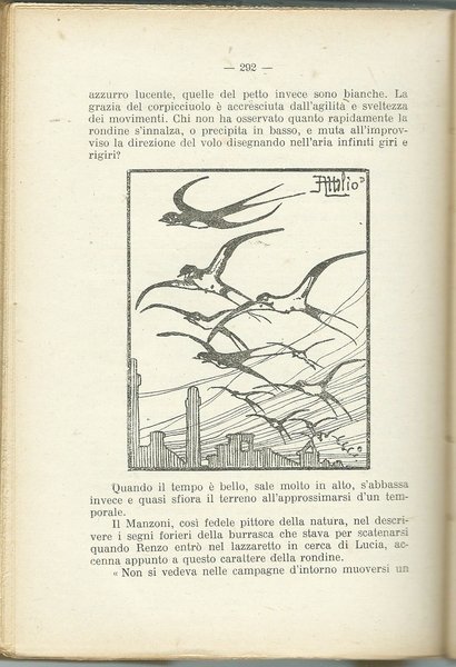 NEL MONDO DEGLI ANIMALI BRESCIA SOC. ED. "LA SCUOLA" 1926