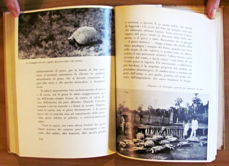 NEL PAESE DEL CAUCCIU' - Viaggio nel Brasile, I ed. …