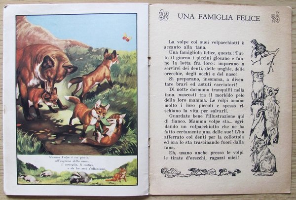NEL PRATO NELLA FATTORIA NEL BOSCO...