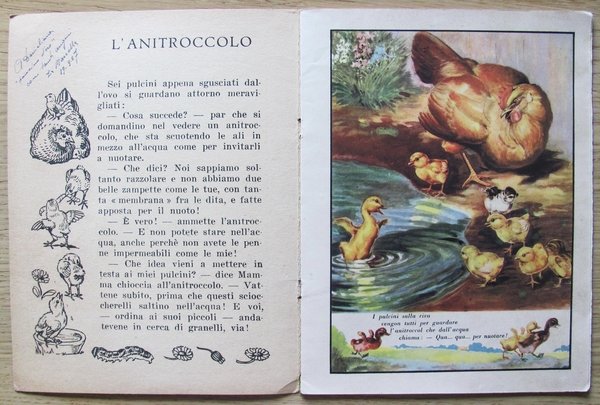 NEL PRATO NELLA FATTORIA NEL BOSCO...