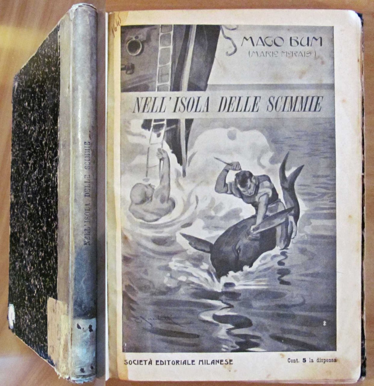 NELL'ISOLA DELLE SCIMMIE, anni '20 - ill. SACCHETTI