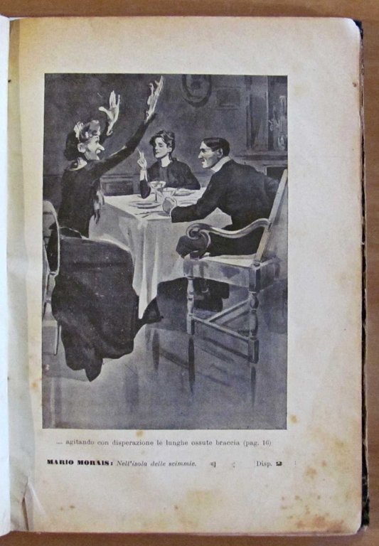 NELL'ISOLA DELLE SCIMMIE, anni '20 - ill. SACCHETTI