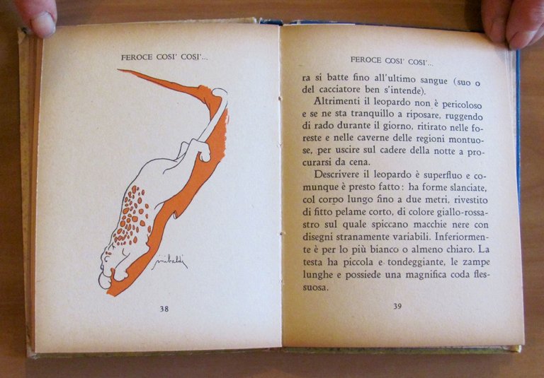 NELLA GIUNGLA - Coll. La Bibliotechina, 1949 - ill. SINIBALDI