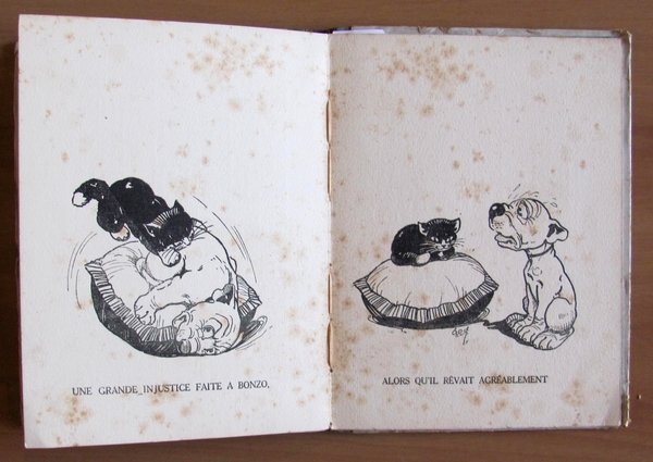 NOS BEBES CHIENS