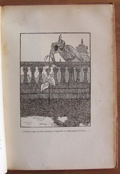 NOVELLE INDIANE