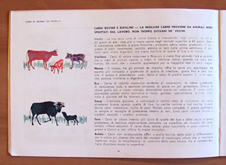 PARLIAMO DELLE CARNI