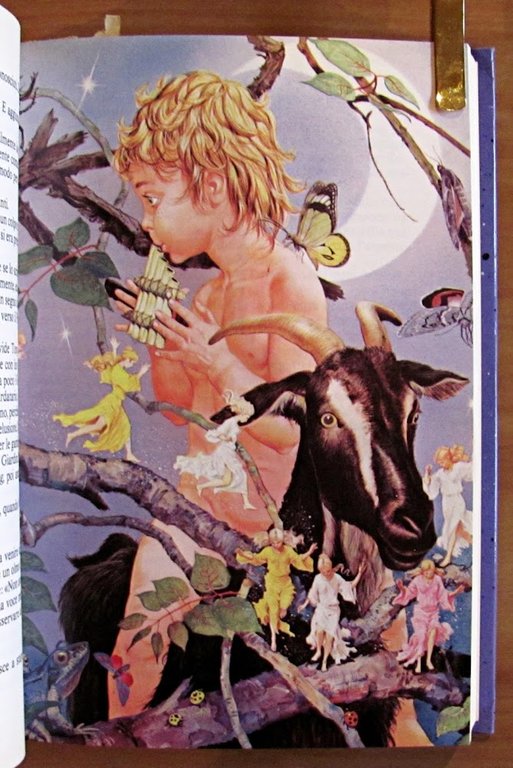 PETER PAN - Edizione Integrale - Collana Biblioteca Classici Integrali